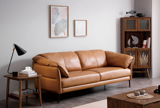 VARIETY Leather Sofa 02 Half Leather Sofa