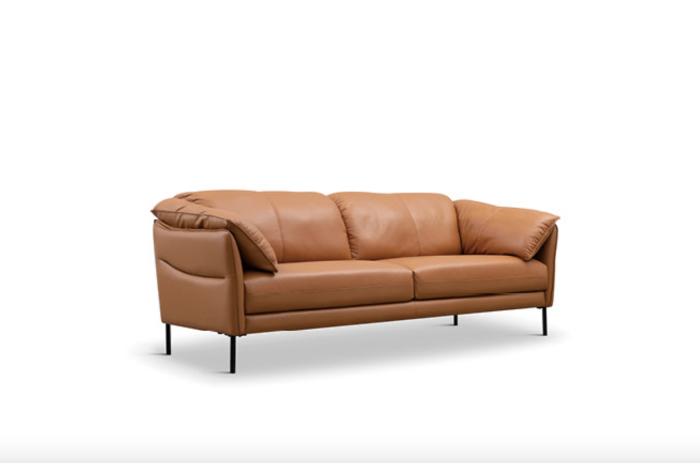 VARIETY Leather Sofa 02 Half Leather Sofa