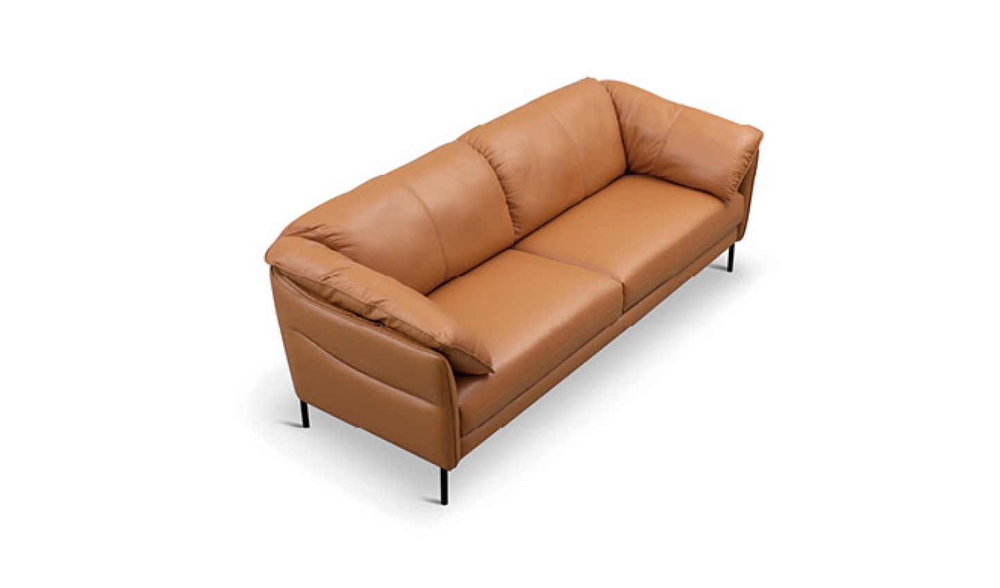 VARIETY Leather Sofa 02 Half Leather Sofa