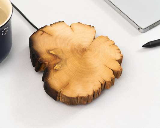 Appreciating wood | Log wireless charger - Thuja lightning strike wood