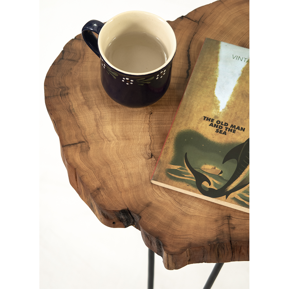 Appreciating wood work|Thuja log coffee table