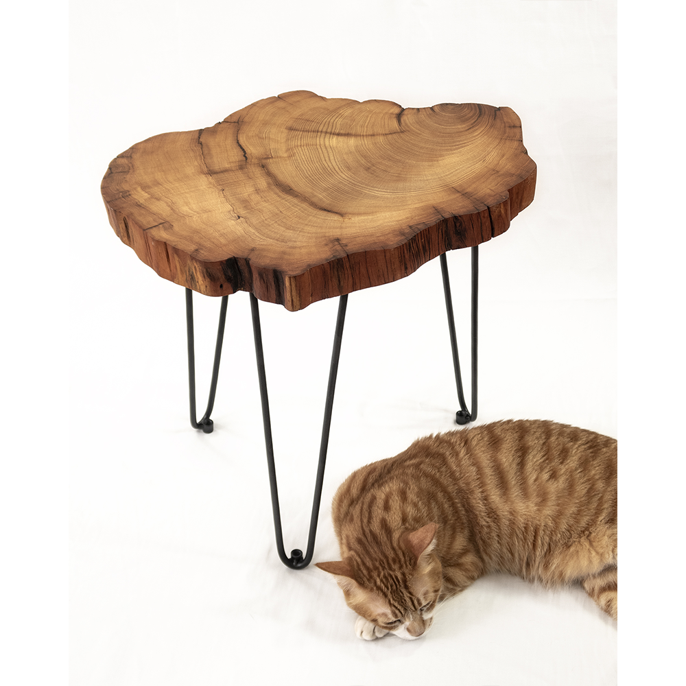 Appreciating wood work|Thuja log coffee table
