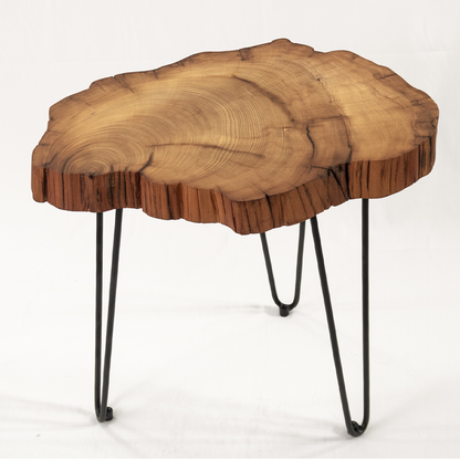 Appreciating wood work｜Thuja log coffee table