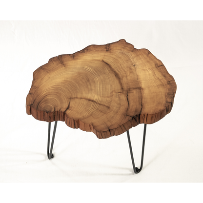 Appreciating wood work｜Thuja log coffee table